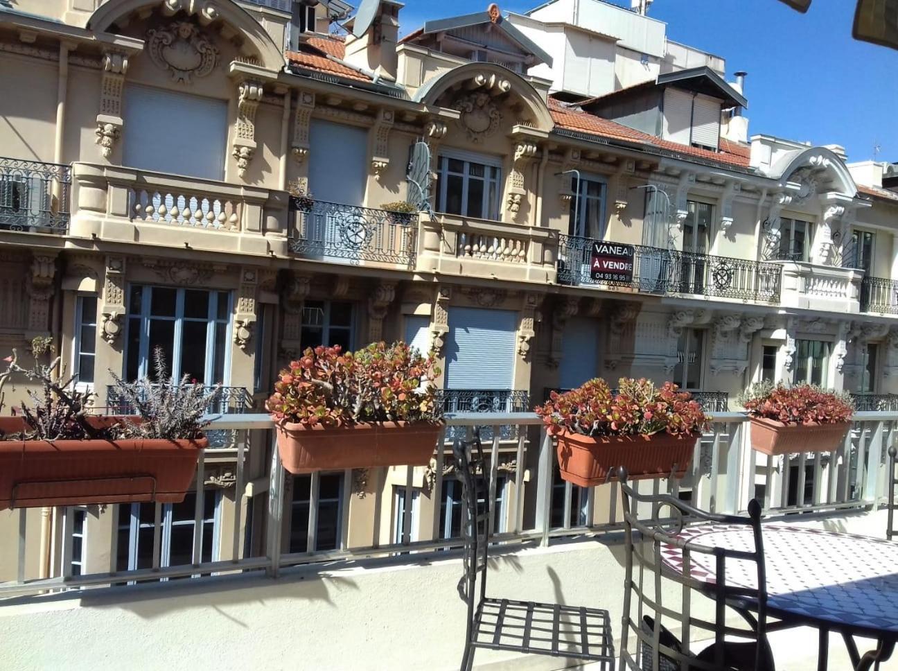 Sole Nizza